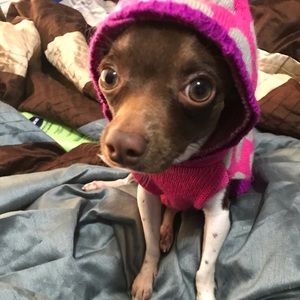 Meet your Posher, Desmond